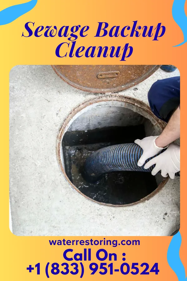 Sewage Backup Cleanup in Robinhood, MS