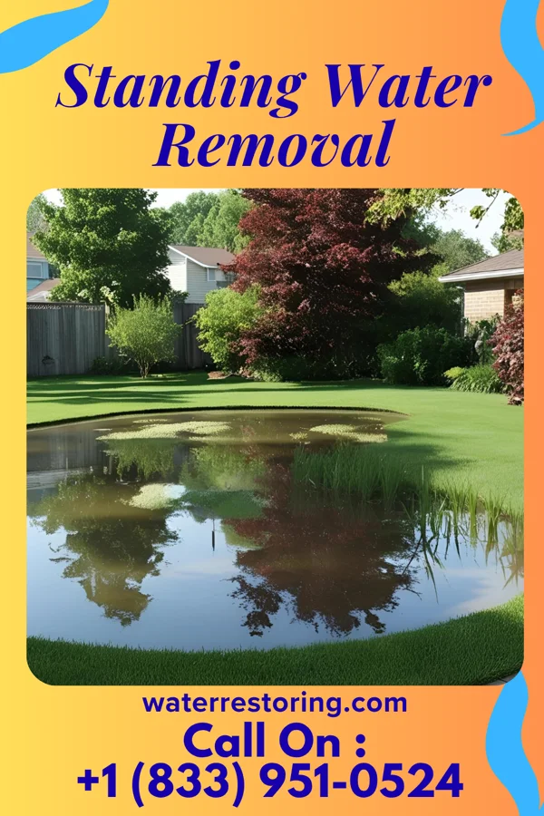 Standing Water Removal in Robinhood, MS